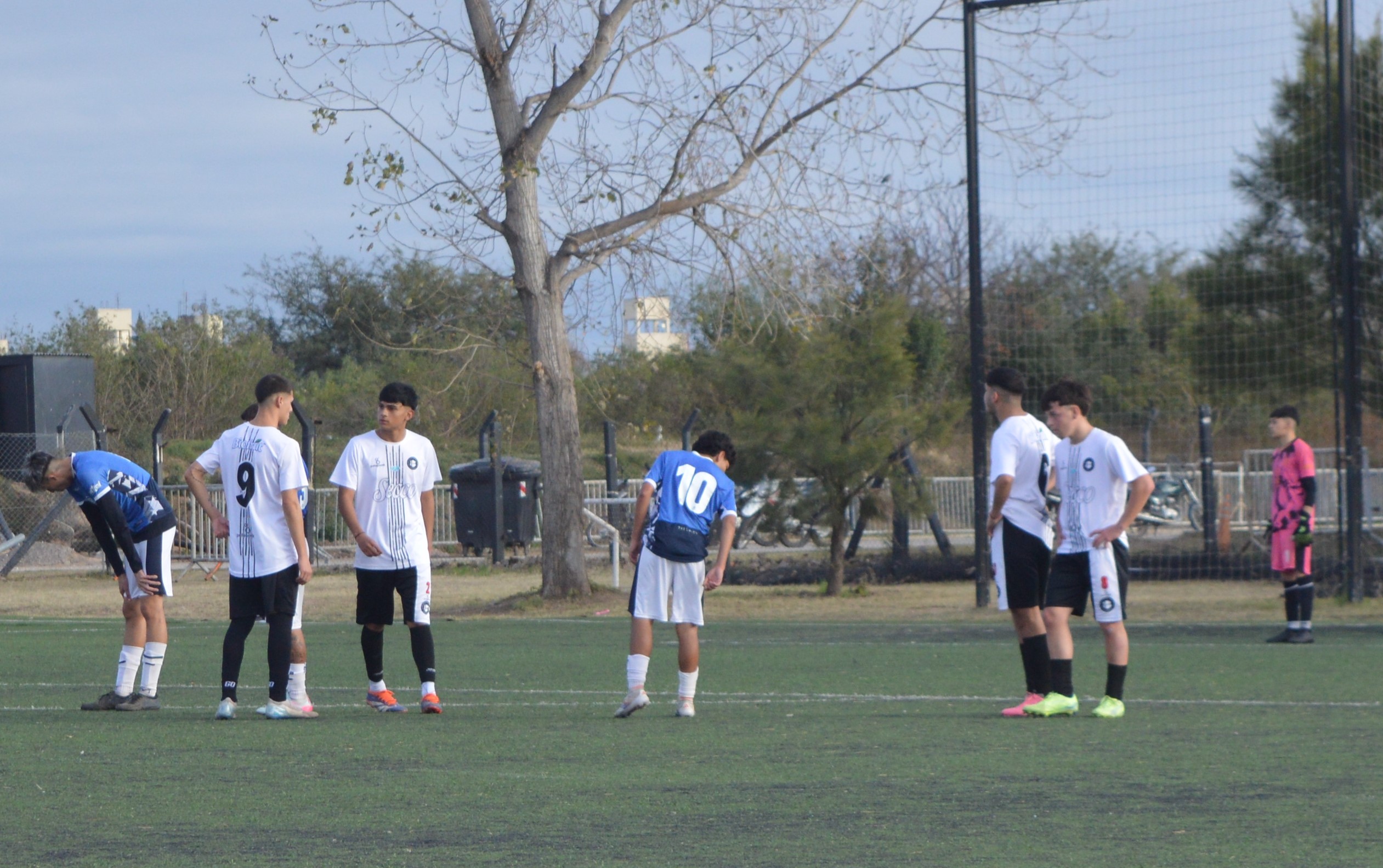 Imagen 2